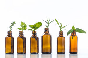 Quels sont les usages créatifs du sirop de fleur de sureau en cuisine et en mixologie ?